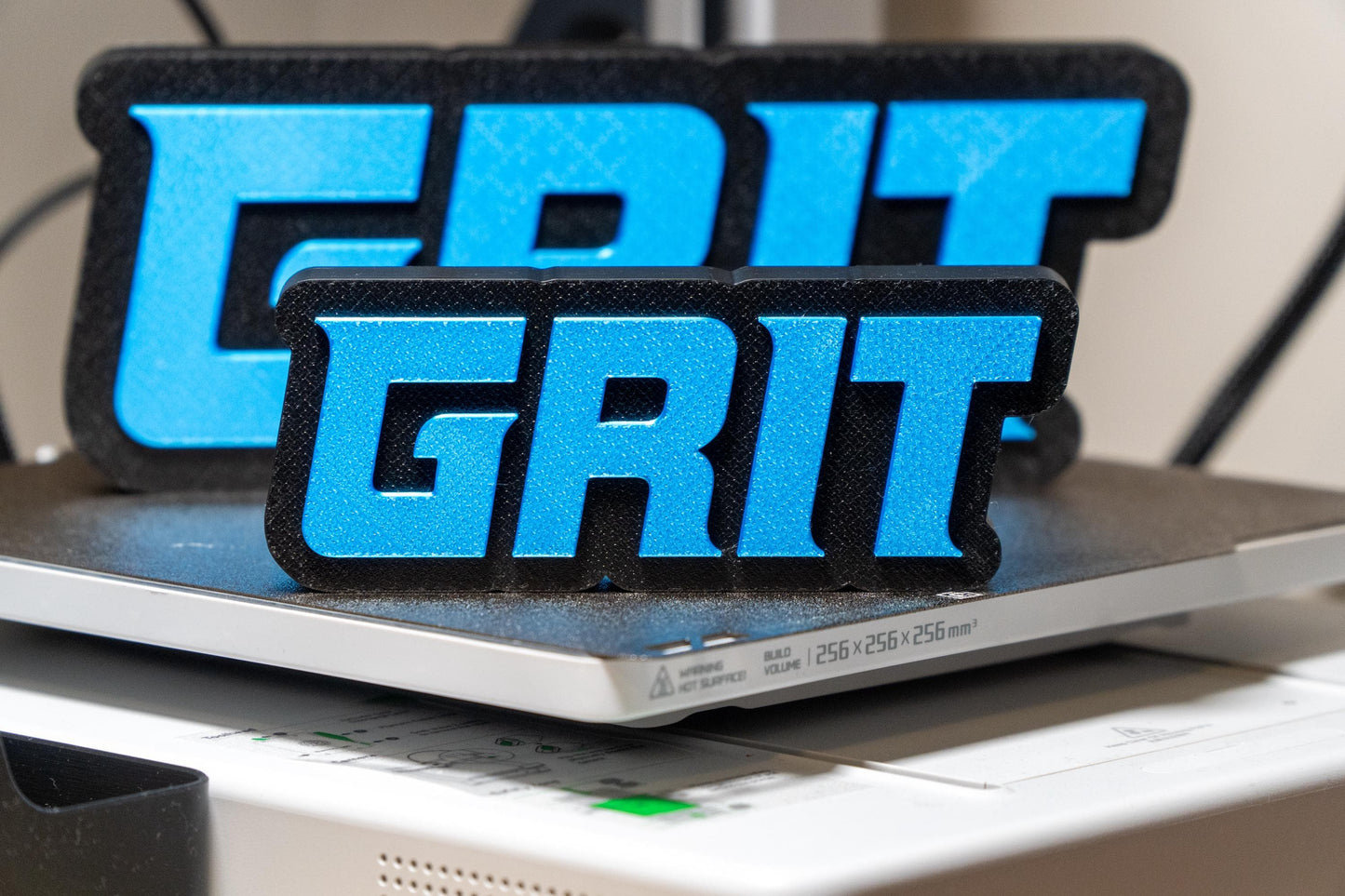 Detroit Lions 'GRIT' 3D Printed Desk Decor - Football Fan Gift